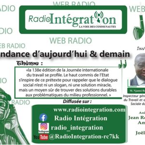 La Pauvret? au Cameroun: Un regard de l’INS (Institut National de la Statistique)
