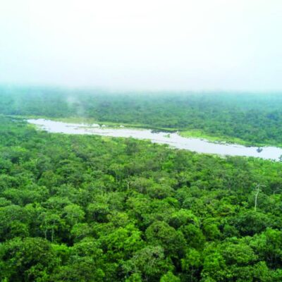 Bassin du Congo: la France revalorise ses financements