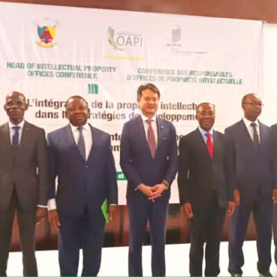 Propri?t? intellectuelle en Afrique : Faire glisser la petite histoire des PME dans la grande Propri?t? intellectuelle en Afrique