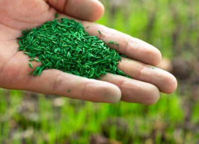 Jardinage : du gazon comme engrais naturel