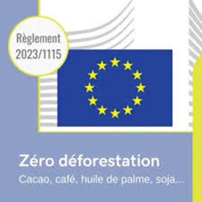 R?glement europ?en sur la d?forestation : le Cameroun, le marteau et l’enclume