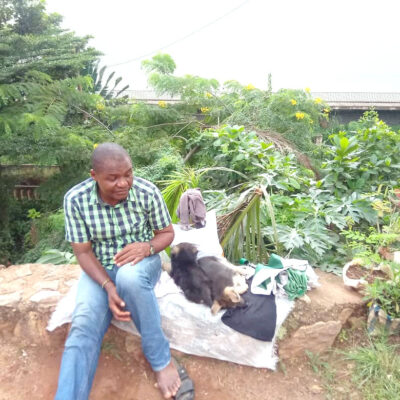 Commerce des chiens de race ? Yaound?: arnaque, supercherie?