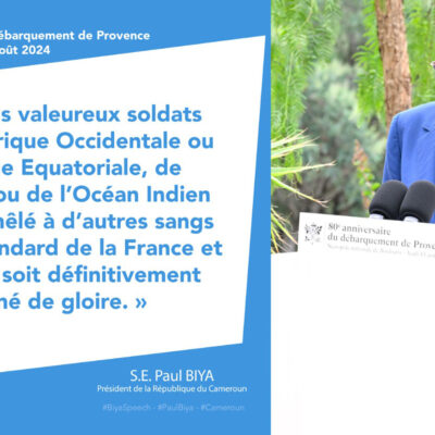 Tirailleurs s?n?galais ? la deuxi?me Guerre mondiale : de nouvelles munitions sur le front de la reconnaissance