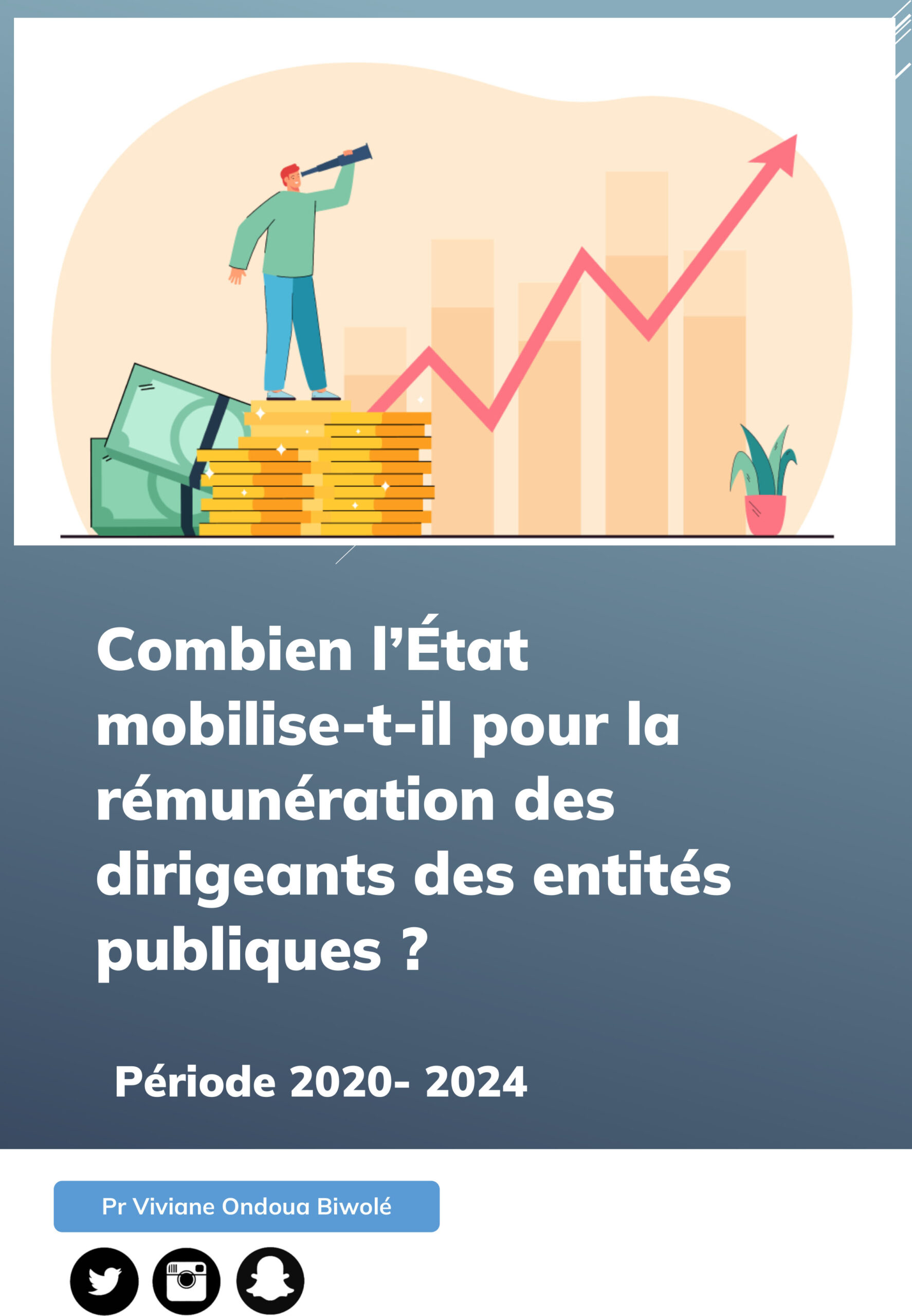 Entreprises et ?tablissements publics au Cameroun: le b?t dor? des PDG