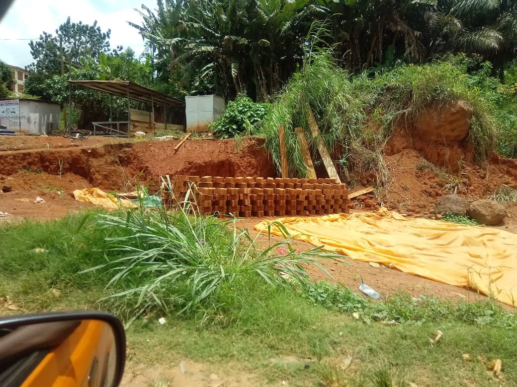 Production de blocs de terre modernes ? Tropicana (Yaound?)