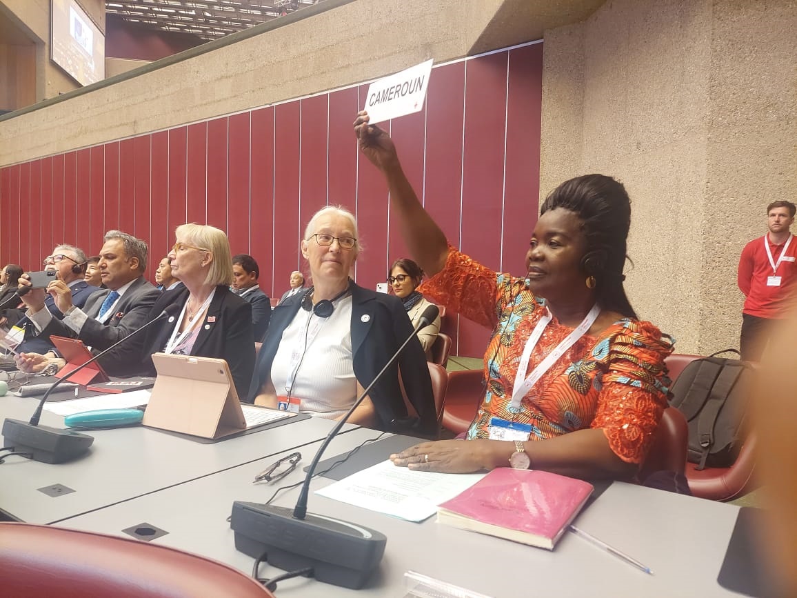 34?me Conf?rence internationale de la Croix-Rouge et du Croissant-Rouge : ?Faire face aux besoins et aux risques humanitaires en restant fid?les ? nos Principes fondamentaux?