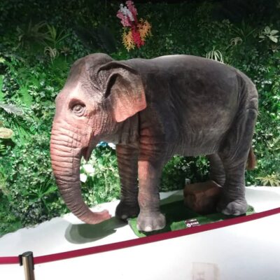 Xishuangbanna: l??l?phant, totem de l?int?gration