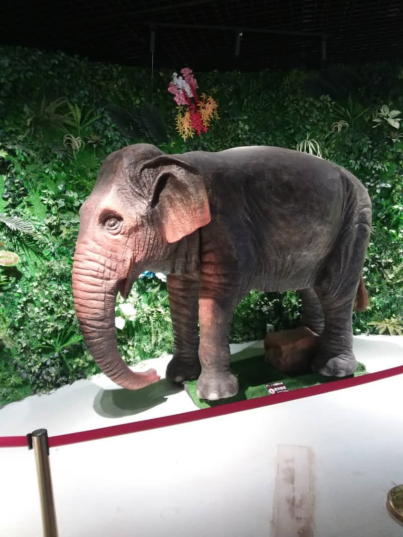 Xishuangbanna: l??l?phant, totem de l?int?gration