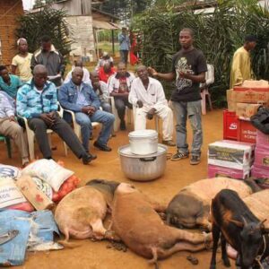 L?galisation de la Dot au Cameroun: Chez les B?tis